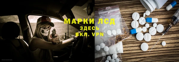 индика Шадринск