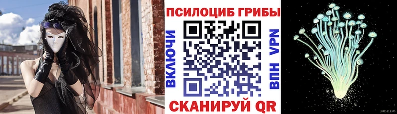 Галлюциногенные грибы прущие грибы что такое наркотик Мензелинск