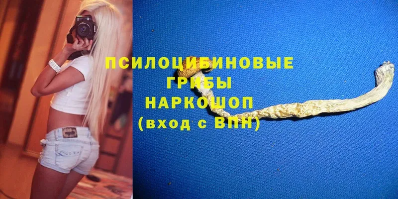 цена наркотик  hydra   Псилоцибиновые грибы Psilocybe  Мензелинск 